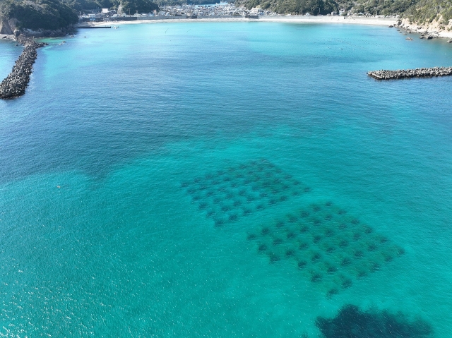 三重保全三期地区　船越工区　海女漁業等環境基盤整備事業　藻場造成工事